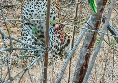 26 days of adventure in Sri Lanka