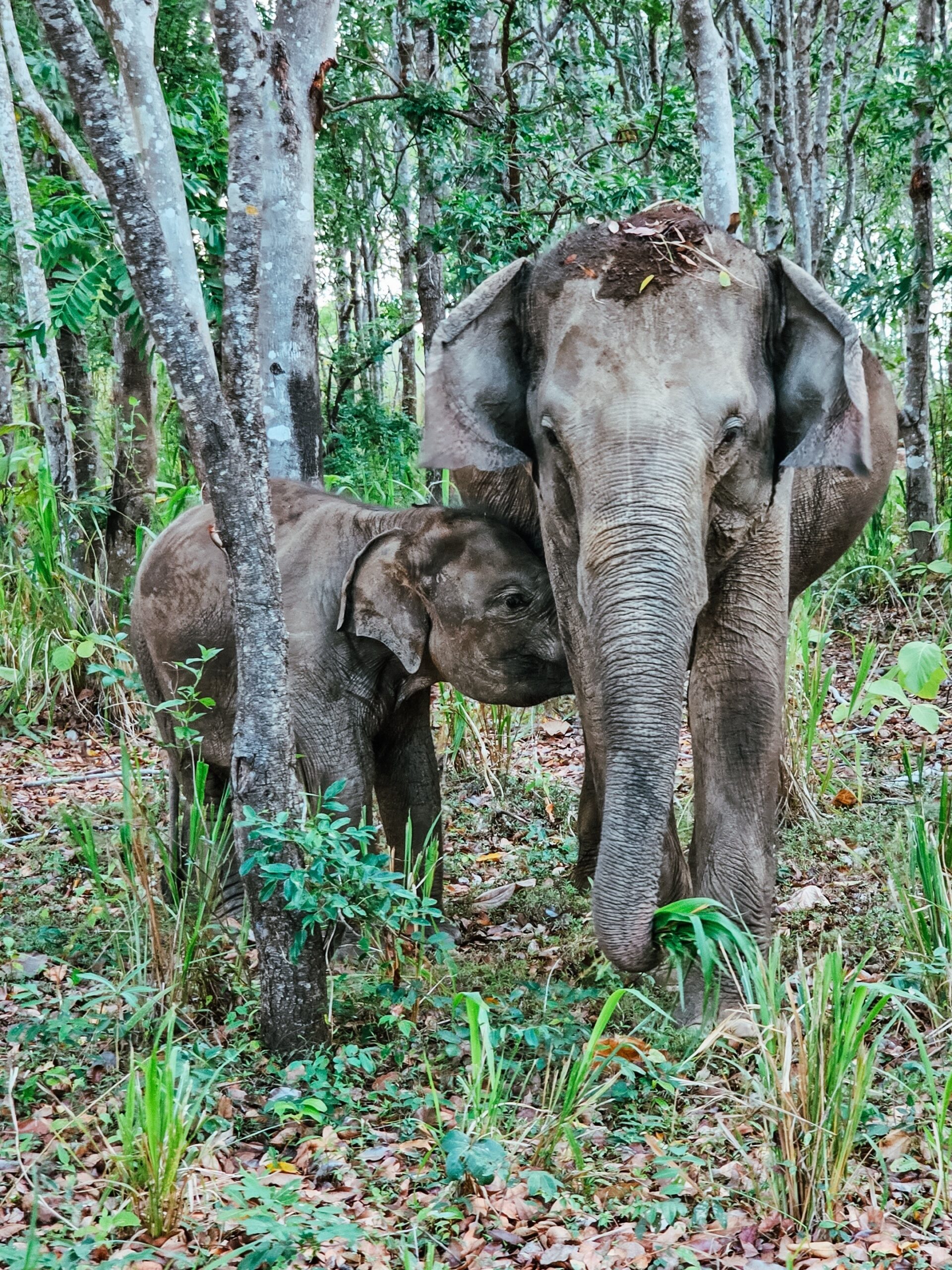 26 days of adventure in Sri Lanka