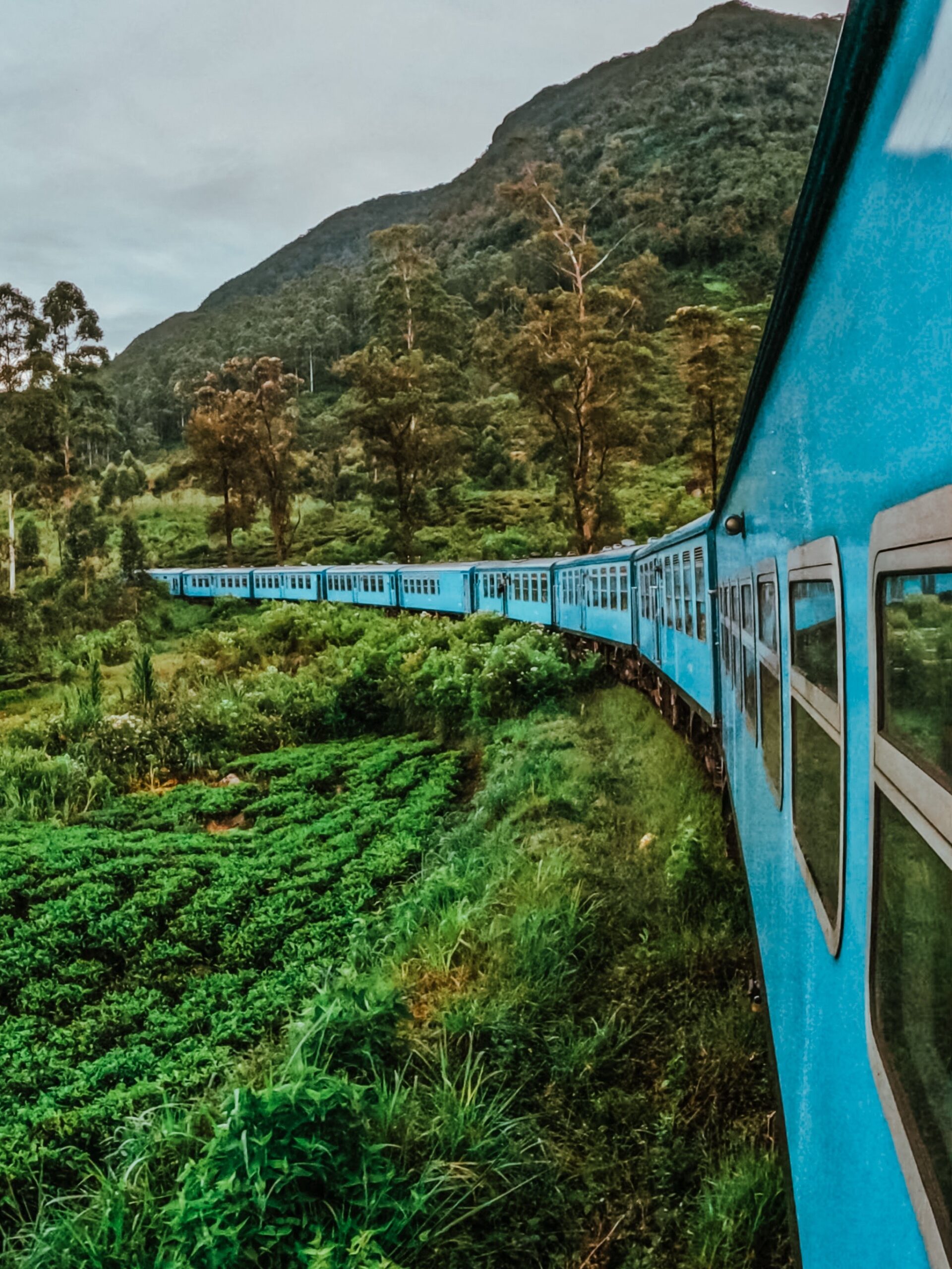 26 days of adventures in Sri Lanka 